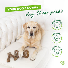 Two-pack design doubles chewing fun and durability
