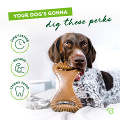 USA-made Benebone chew emphasizes durability and quality for tough chewers.