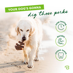 Benebone USA-made dog chew for reliable, local quality.
