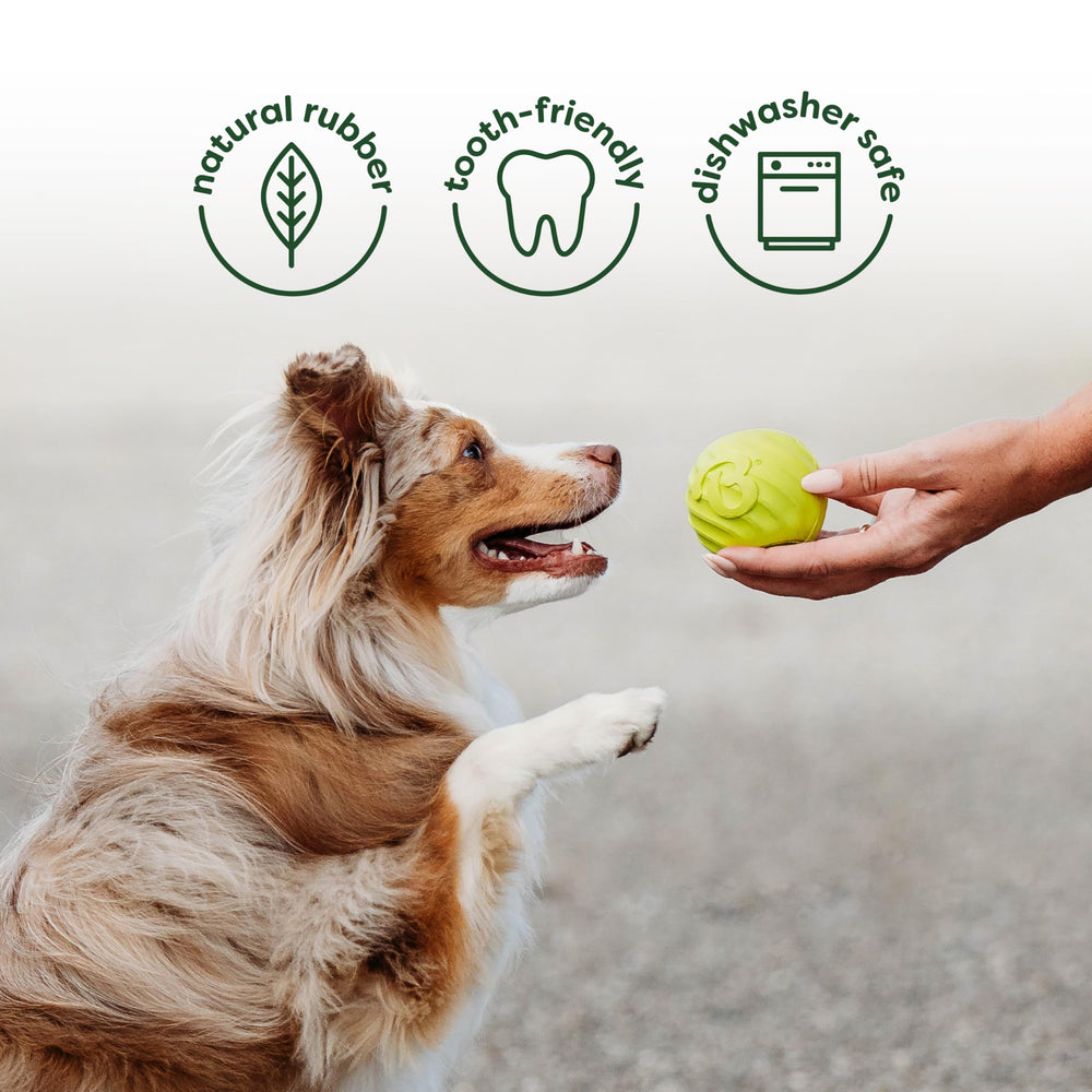 Benebone Wishbone image: Bacon-flavored nylon chew offering tasty scent and satisfying bite.