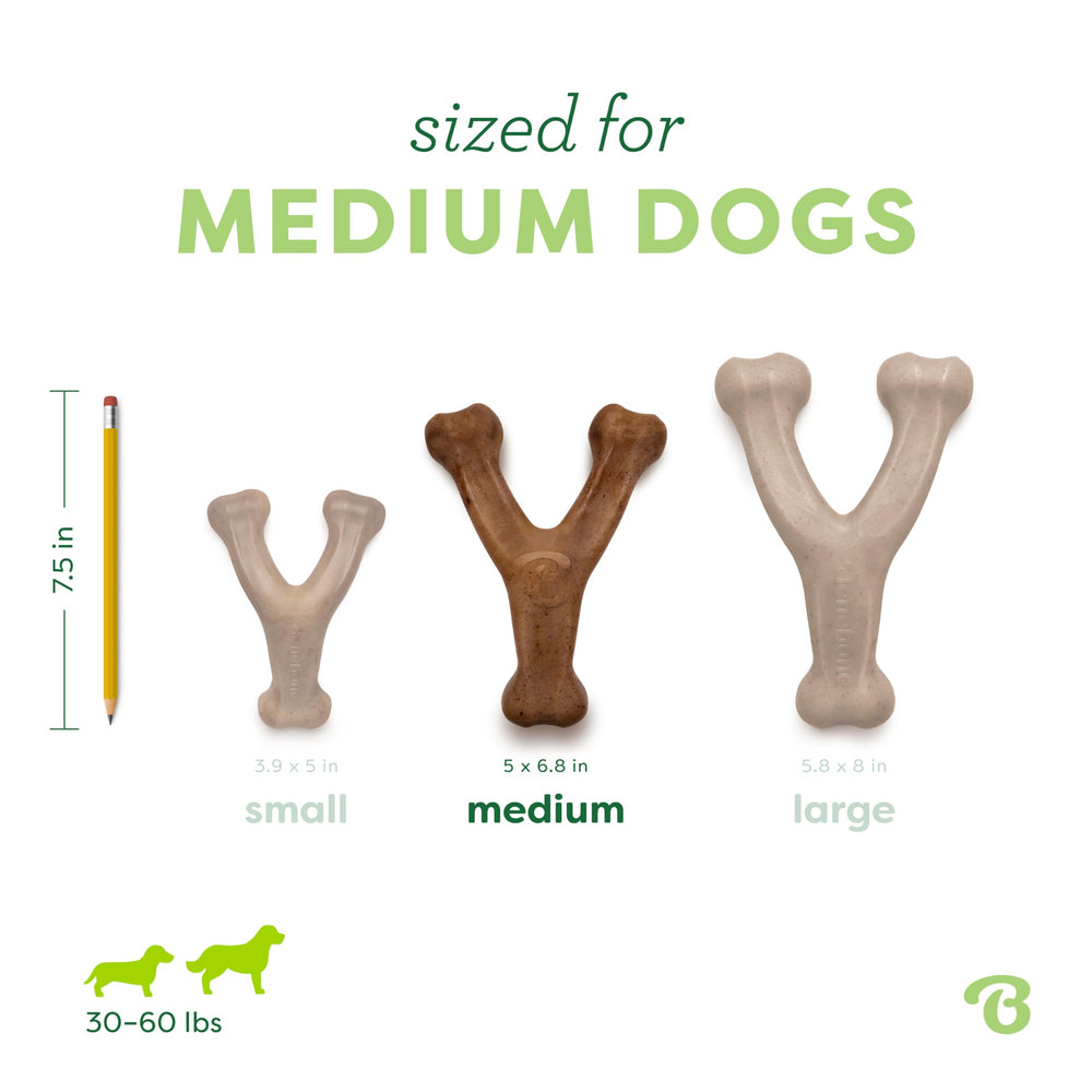 Benebone Medium 3-Pack with chicken and peanut butter flavors on shelf.