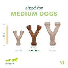 Benebone Medium 3-Pack with chicken and peanut butter flavors on shelf.
