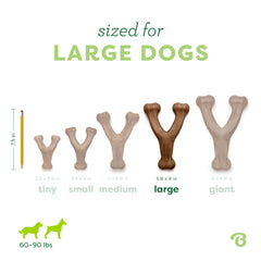 Benebone Wishbone long-lasting chew, ideal for aggressive chewers seeking a tougher toy.