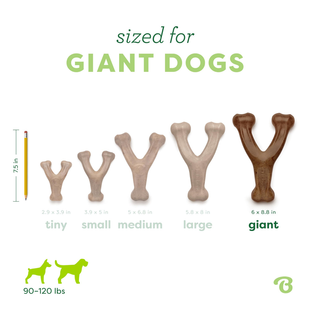 Benebone Wishbone paw-friendly grip helps dogs grab and chew comfortably.