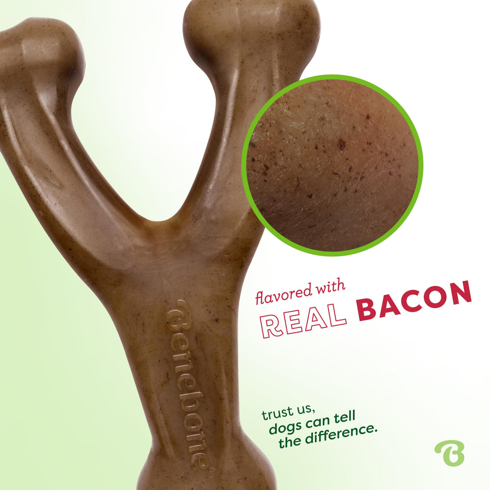 Benebone Wishbone real bacon flavor attracts energetic chewers during play.