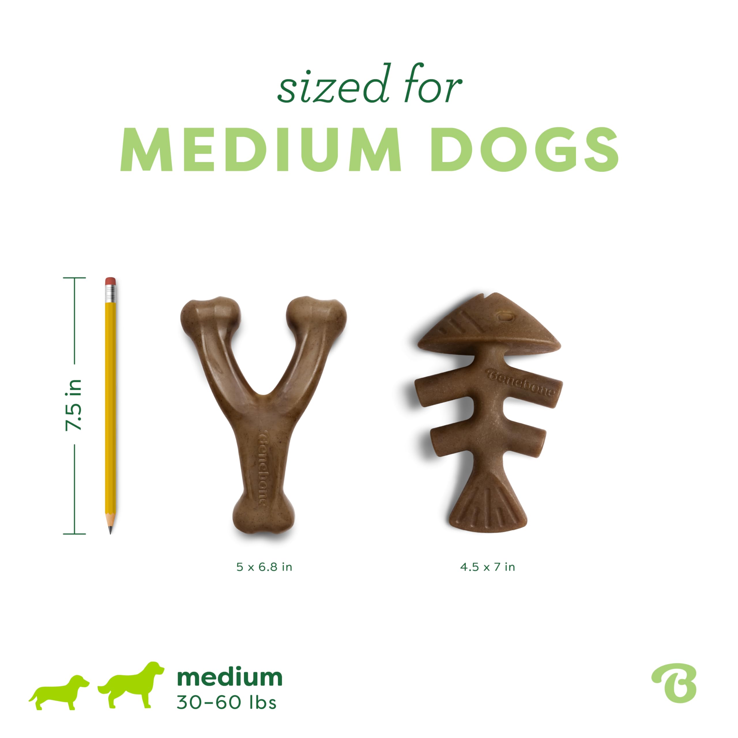 Benebone Wishbone with real bacon flavor tempts dogs during long chews