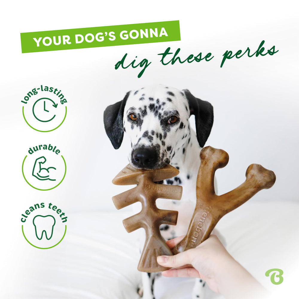 Benebone Wishbone with real bacon flavor promoting confident bites and longer play.