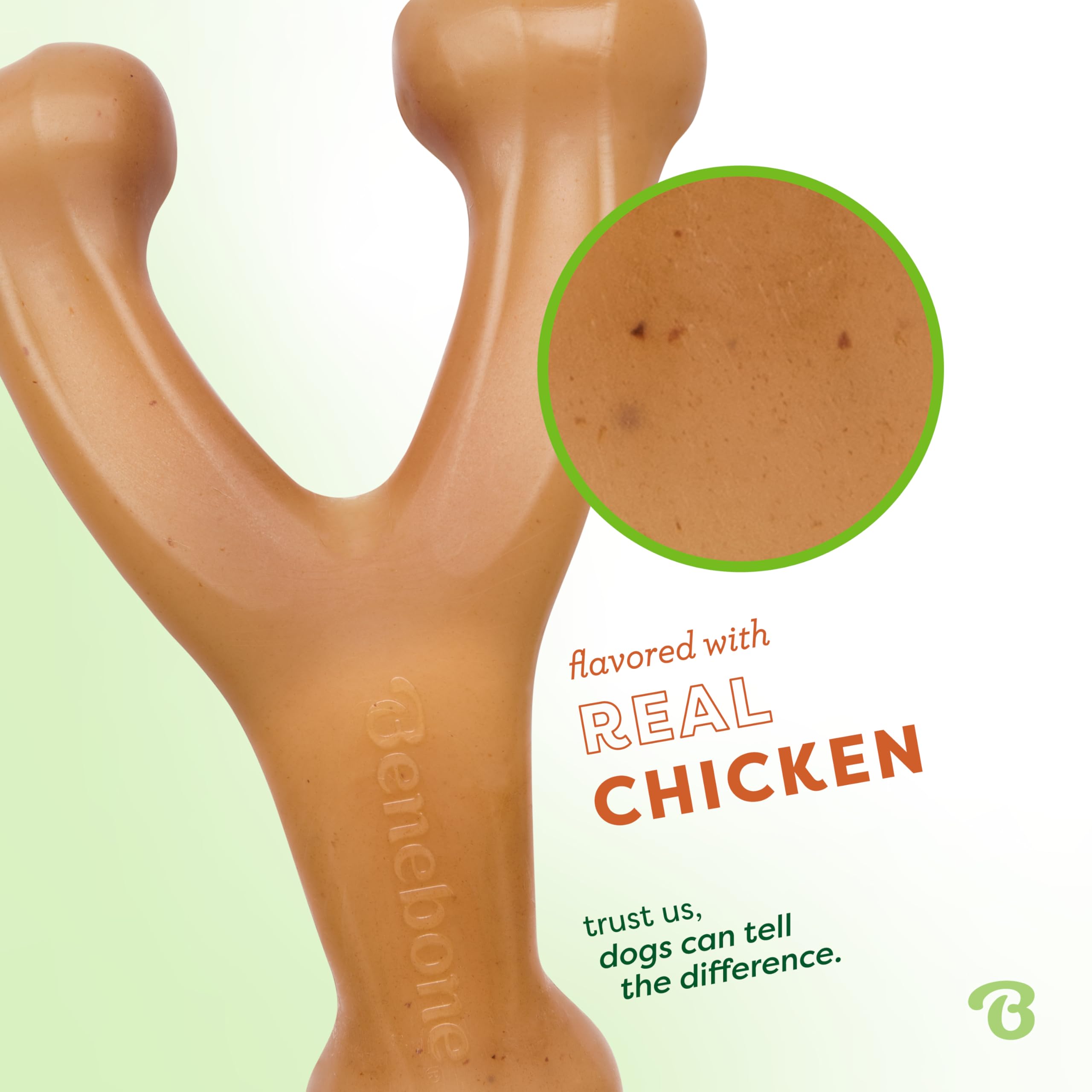 Benebone Wishbone with real chicken flavor for tasty chewing sessions.