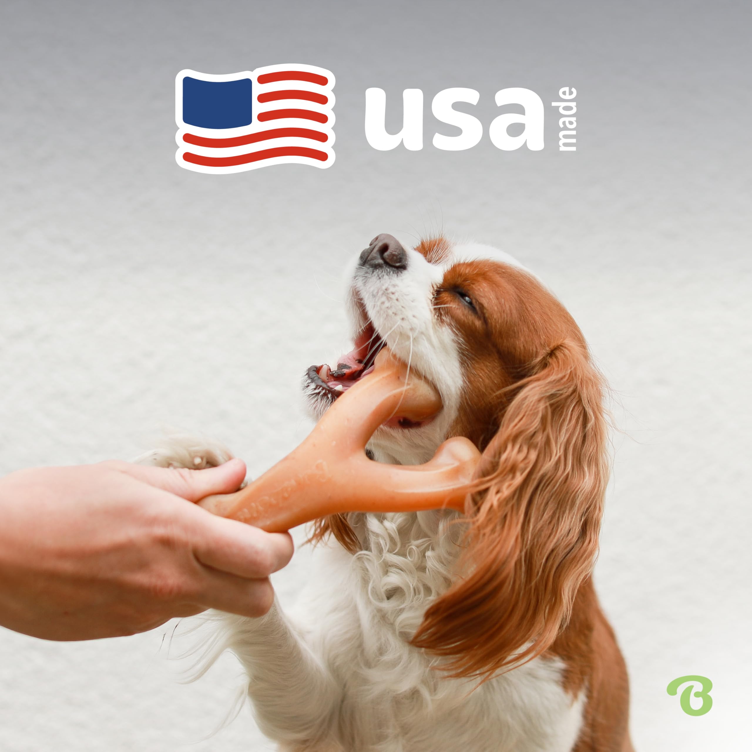 Benebone Wishbone grip-friendly ridges for easy handling during play