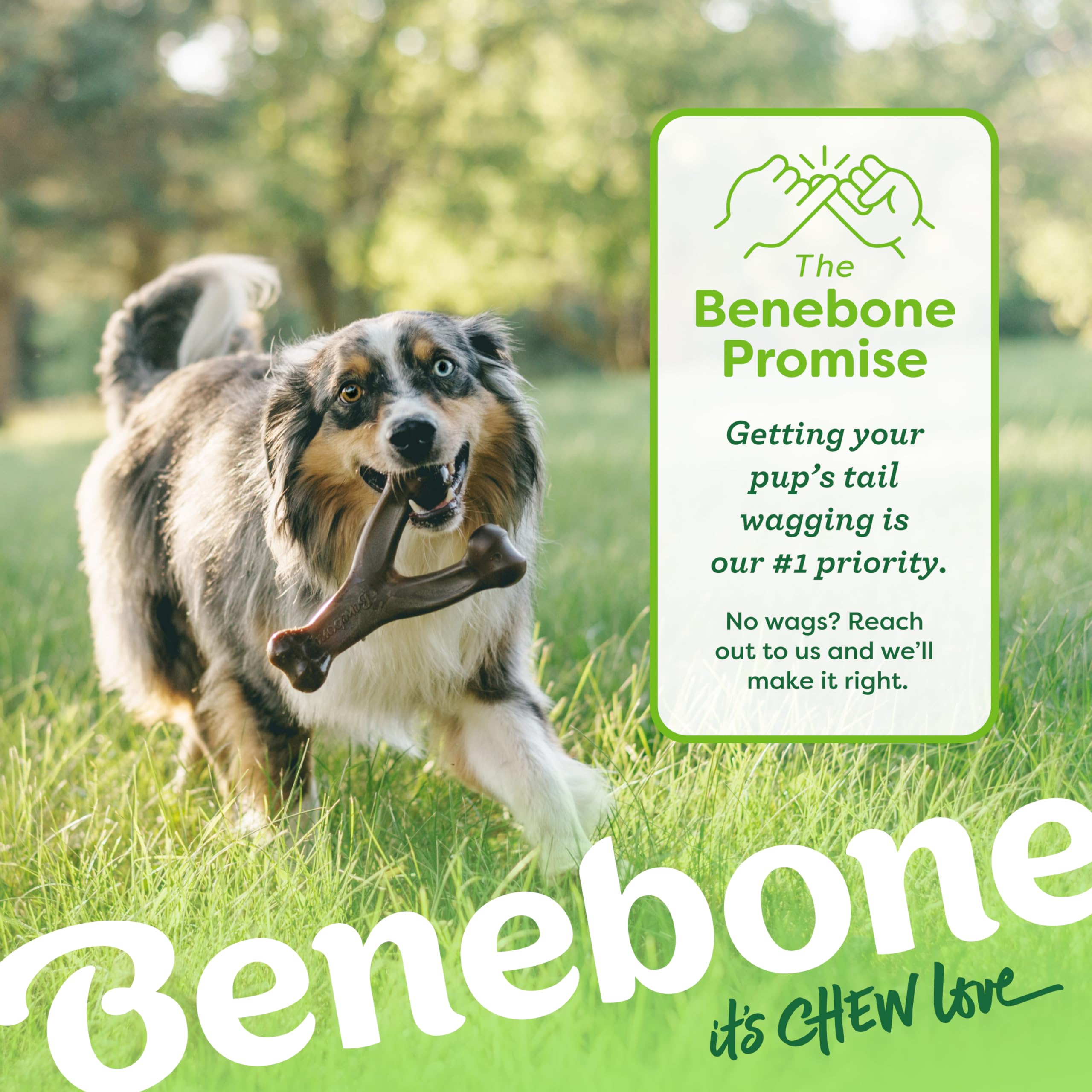 Benebone Wishbone made in USA packaging emphasizes domestic sourcing