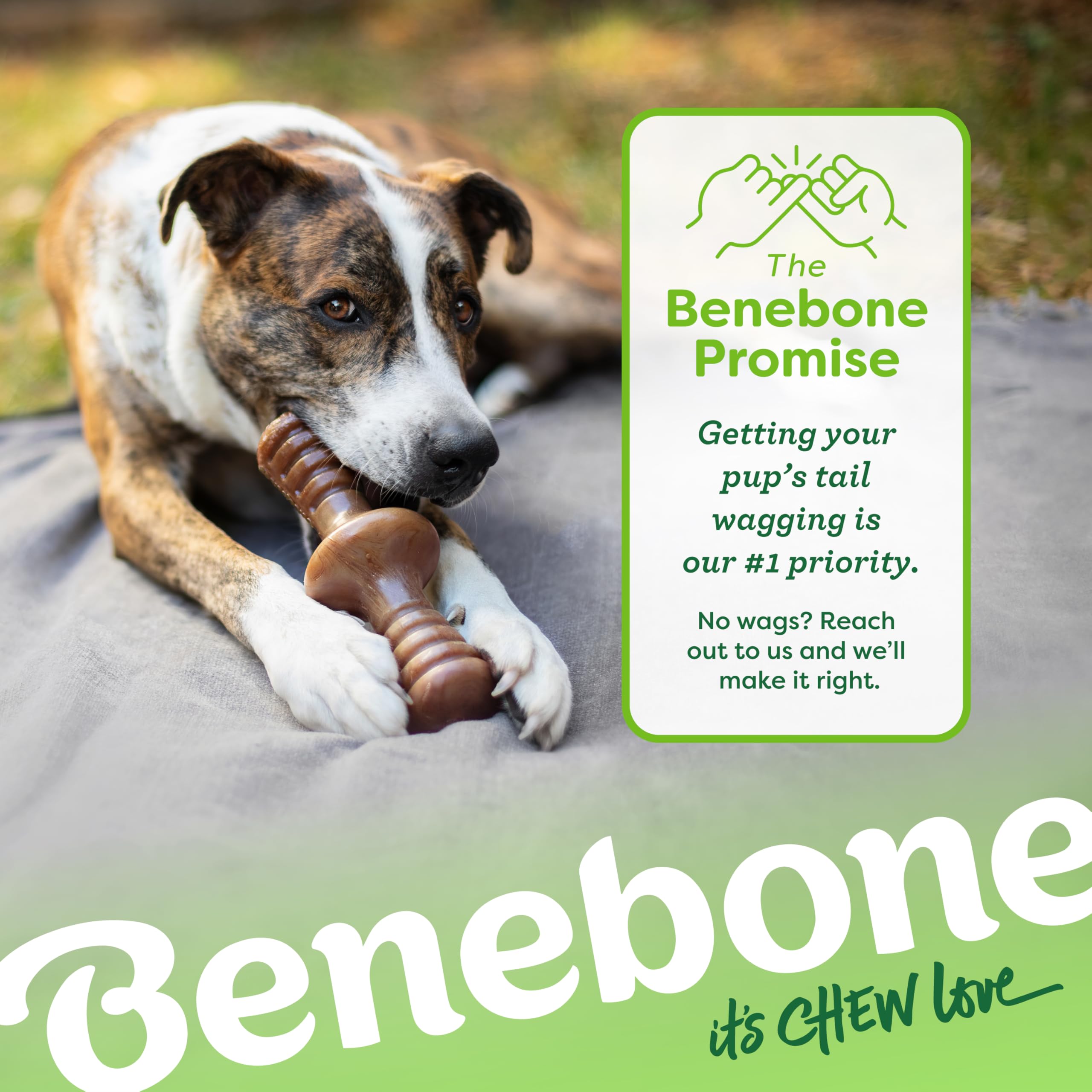 Dog plays and chews with the Benebone Zaggler in rolling action.