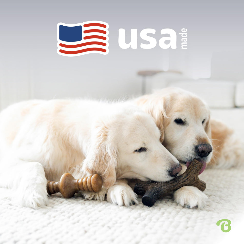 Benebone Zaggler in action, rolling chew for engagement