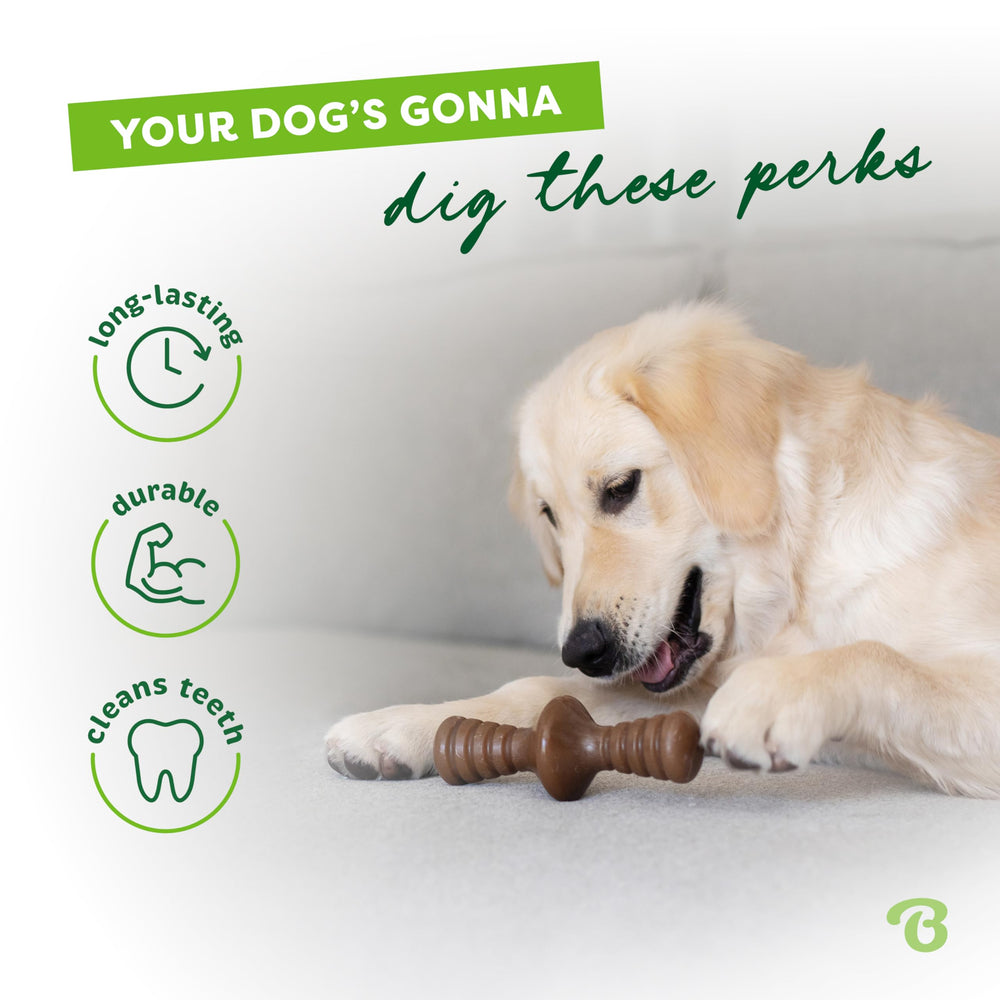 Benebone Zaggler made in USA showcasing sturdy craftsmanship.