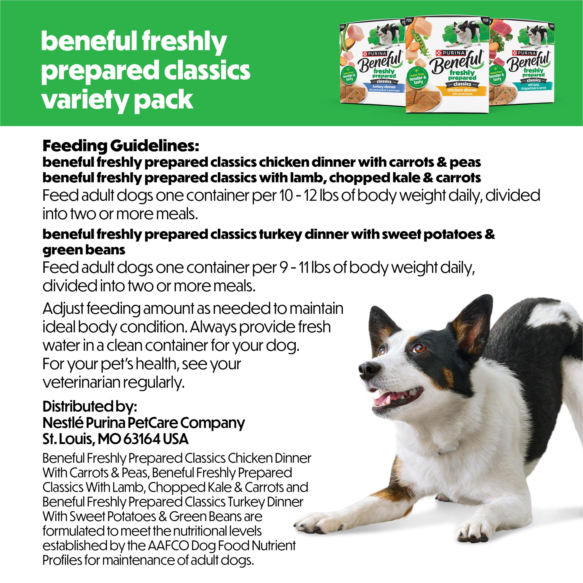 Beneful Freshly Prepared Classics packaging on countertop highlights convenient servings