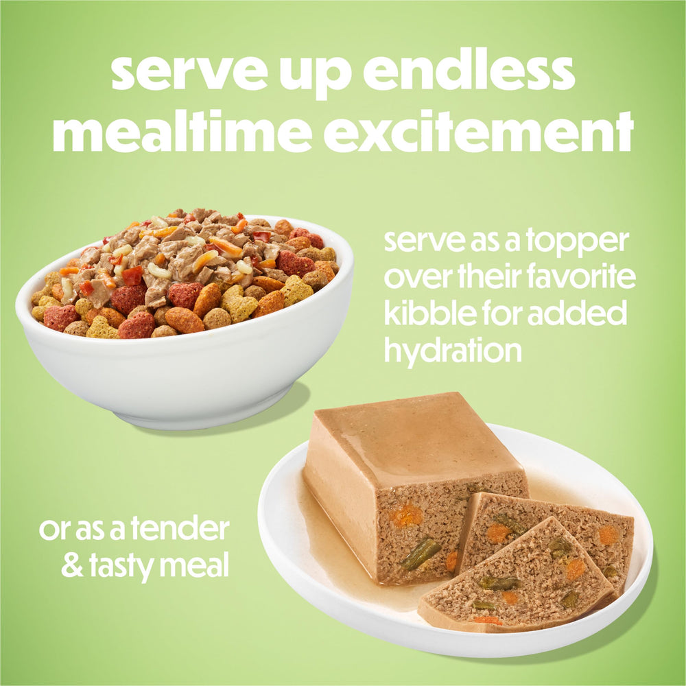 Beneful Freshly Prepared Classics serving bowl with kibble topper idea