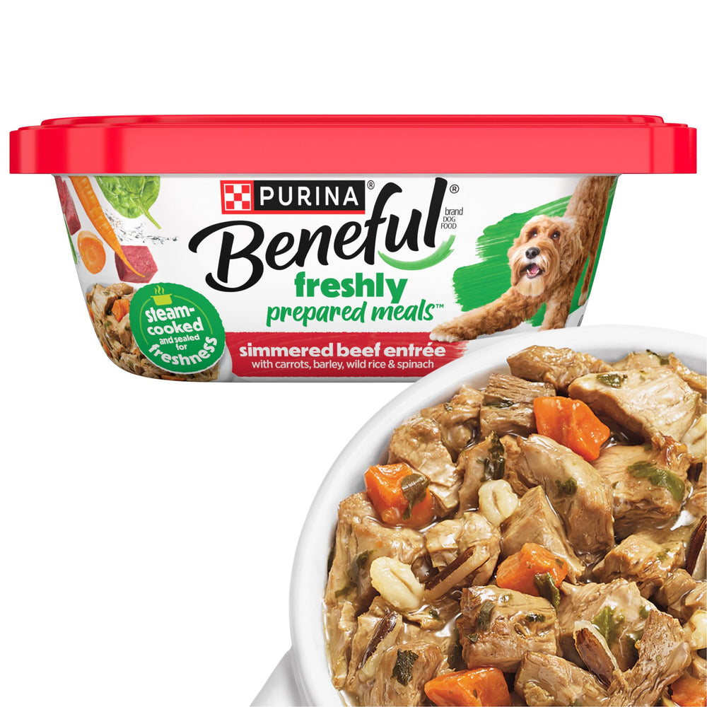 Beneful Freshly Prepared Meals tub open showing simmered beef entree and gravy for a tasty dinner