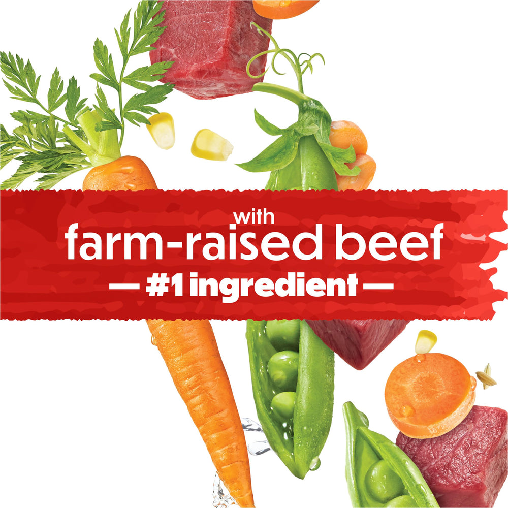 Beneful IncrediBites beef ingredient focus with protein-rich nutrition.