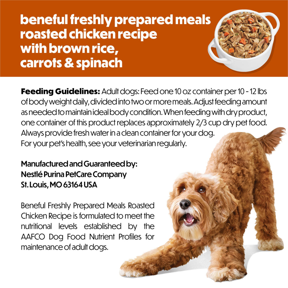 Dog enjoys Beneful meal time with aroma and texture appeal.