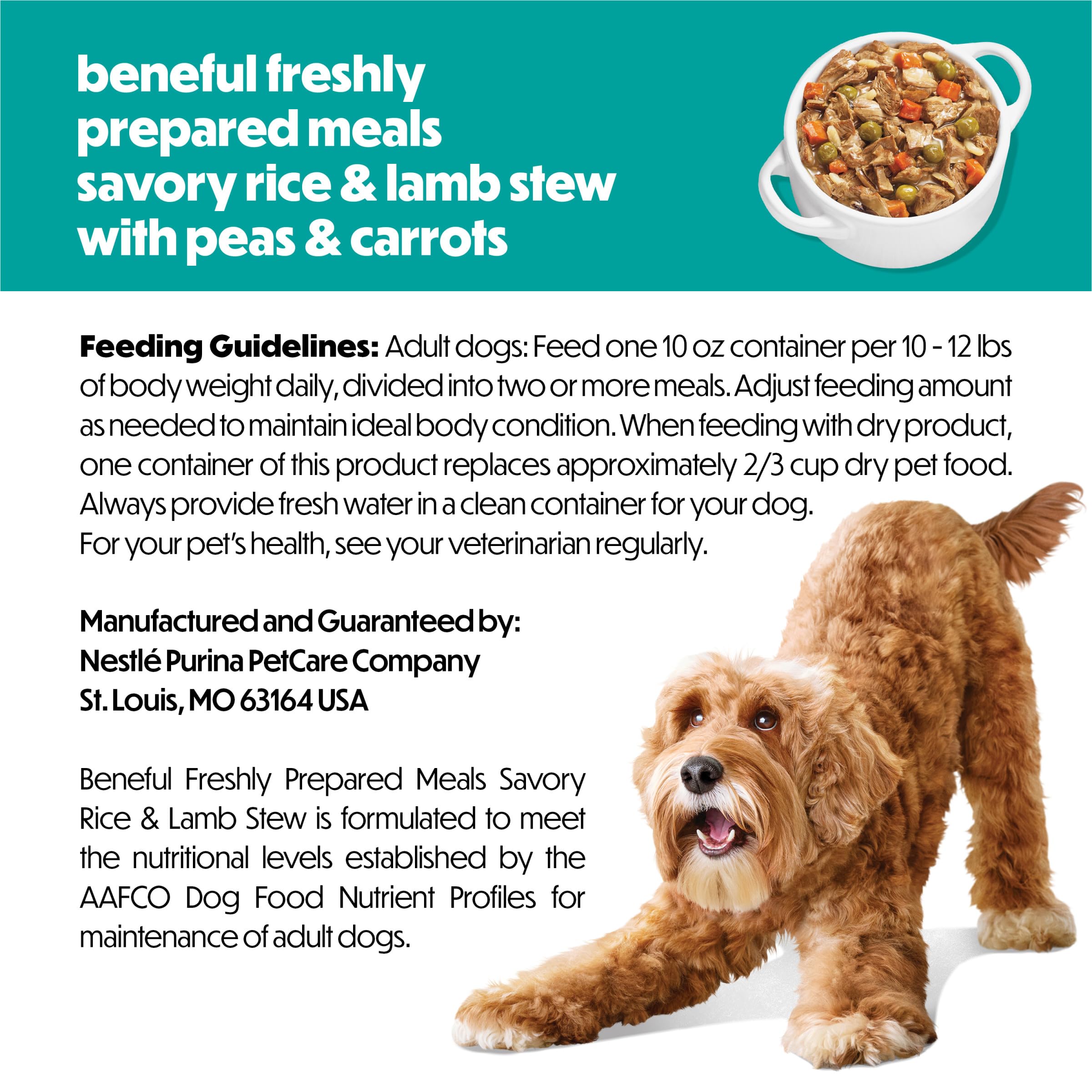 Beneful Lamb Stew dog eating shows easy serving during mealtime.