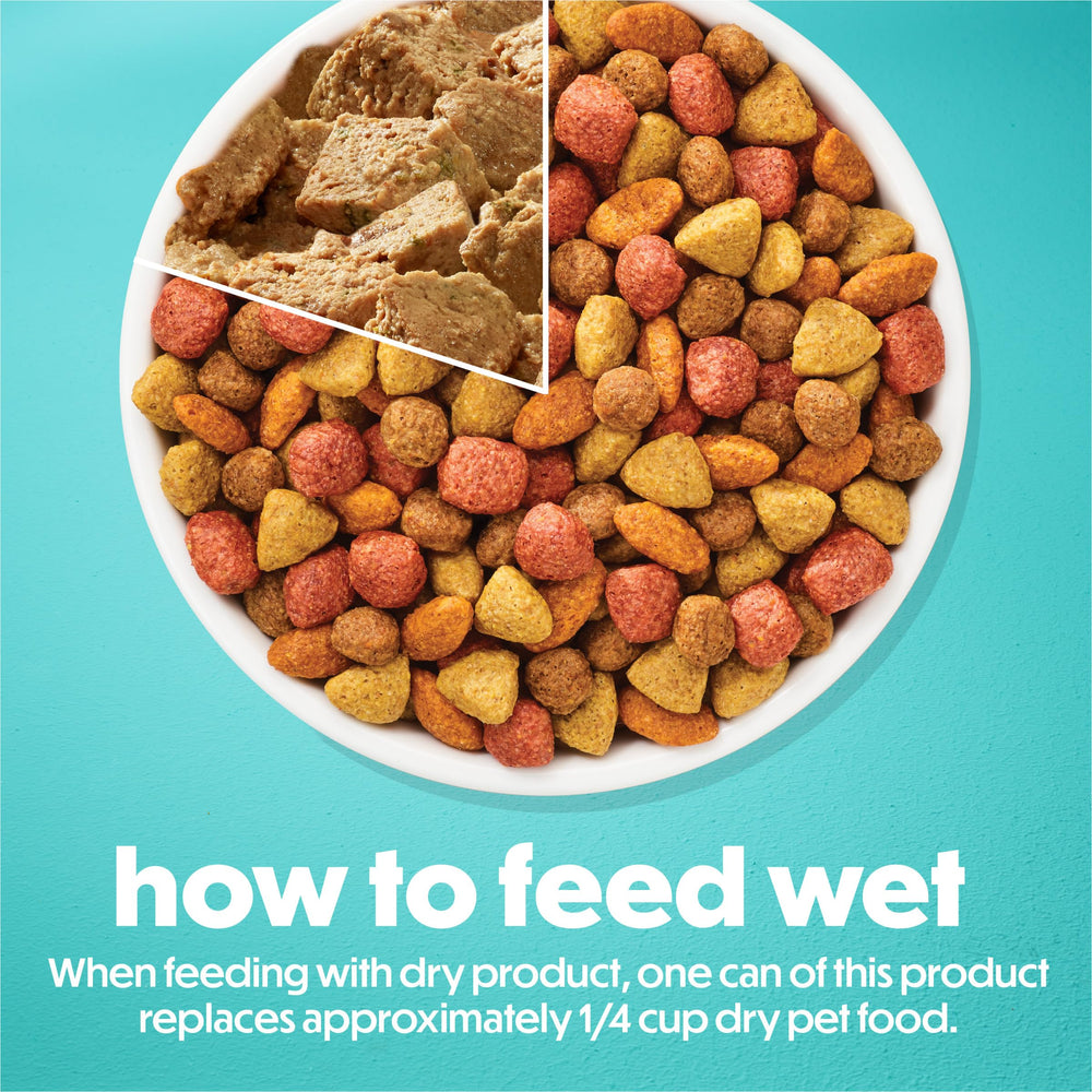 Beneful no artificial colors, flavors, or preservatives on packaging