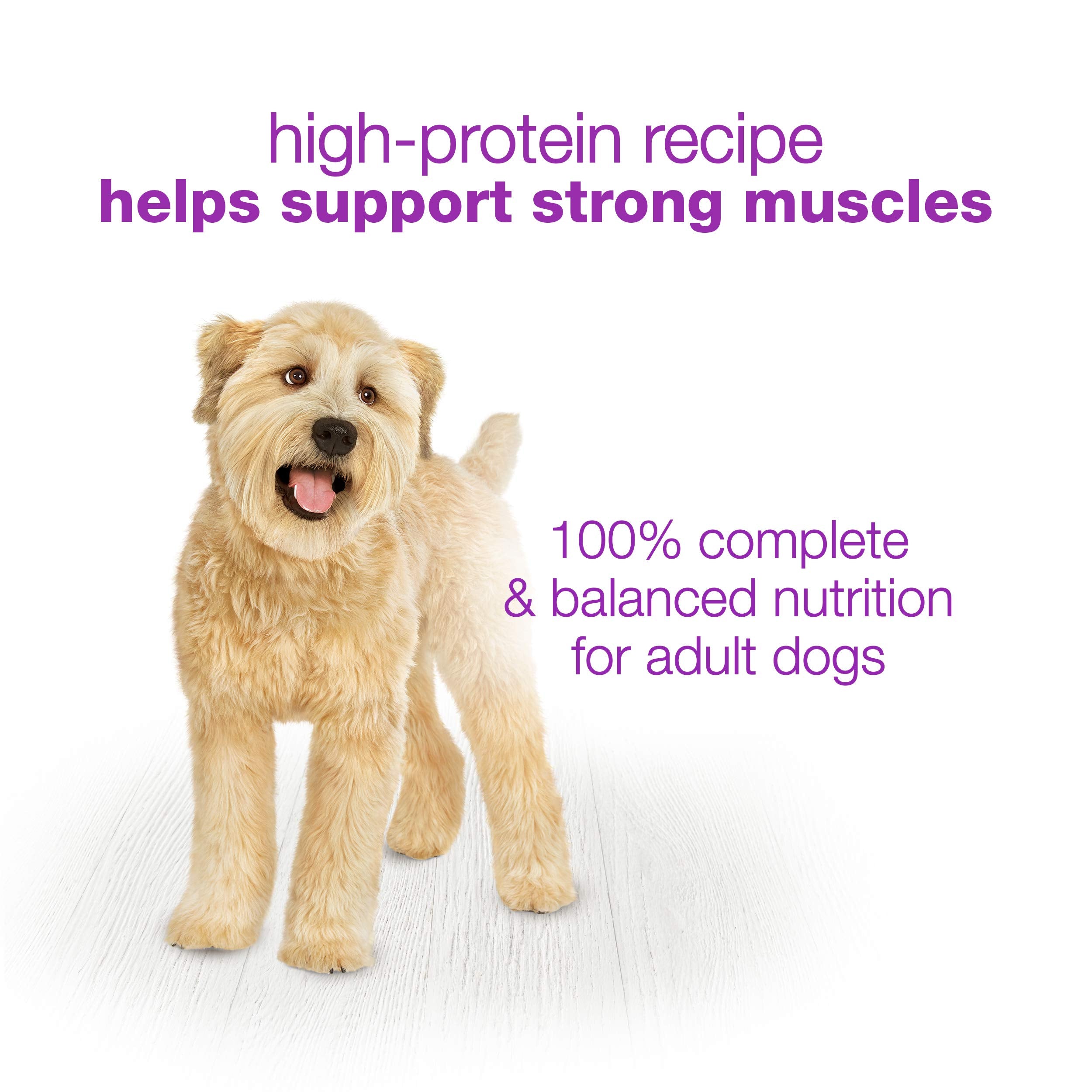 Beneful ready-to-serve or toppers for mixed kibble meals.