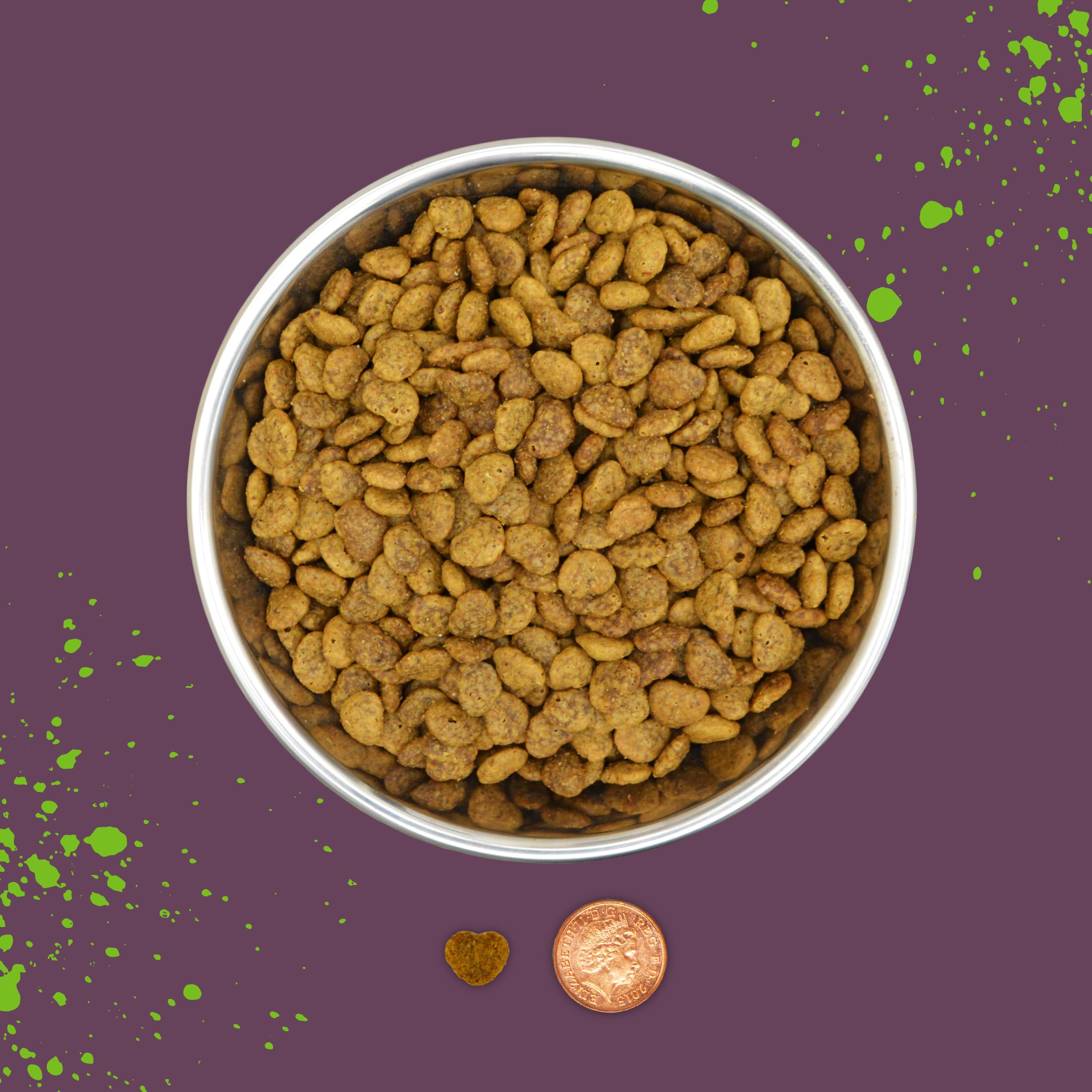 Benevo vegan cat food 2kg closed bag signals convenient dry meal option.