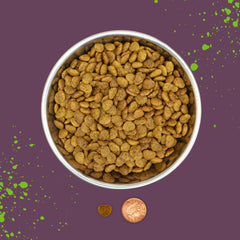 Benevo vegan cat food 2kg closed bag signals convenient dry meal option.