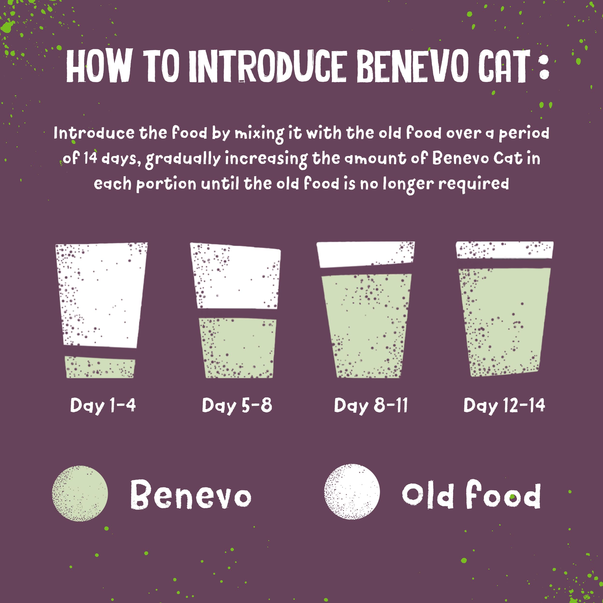 Benevo vegan cat food 2kg UK-made badge conveys local production and trust.