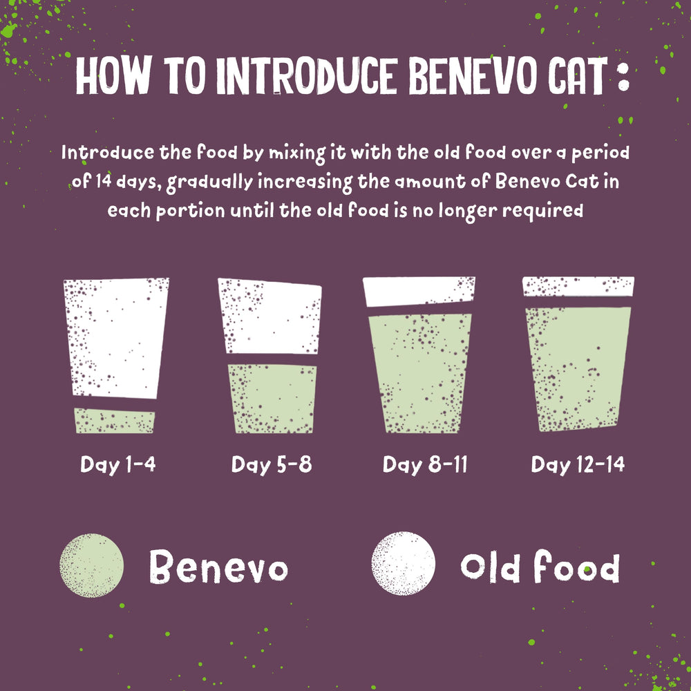 Benevo vegan cat food 2kg UK-made badge conveys local production and trust.
