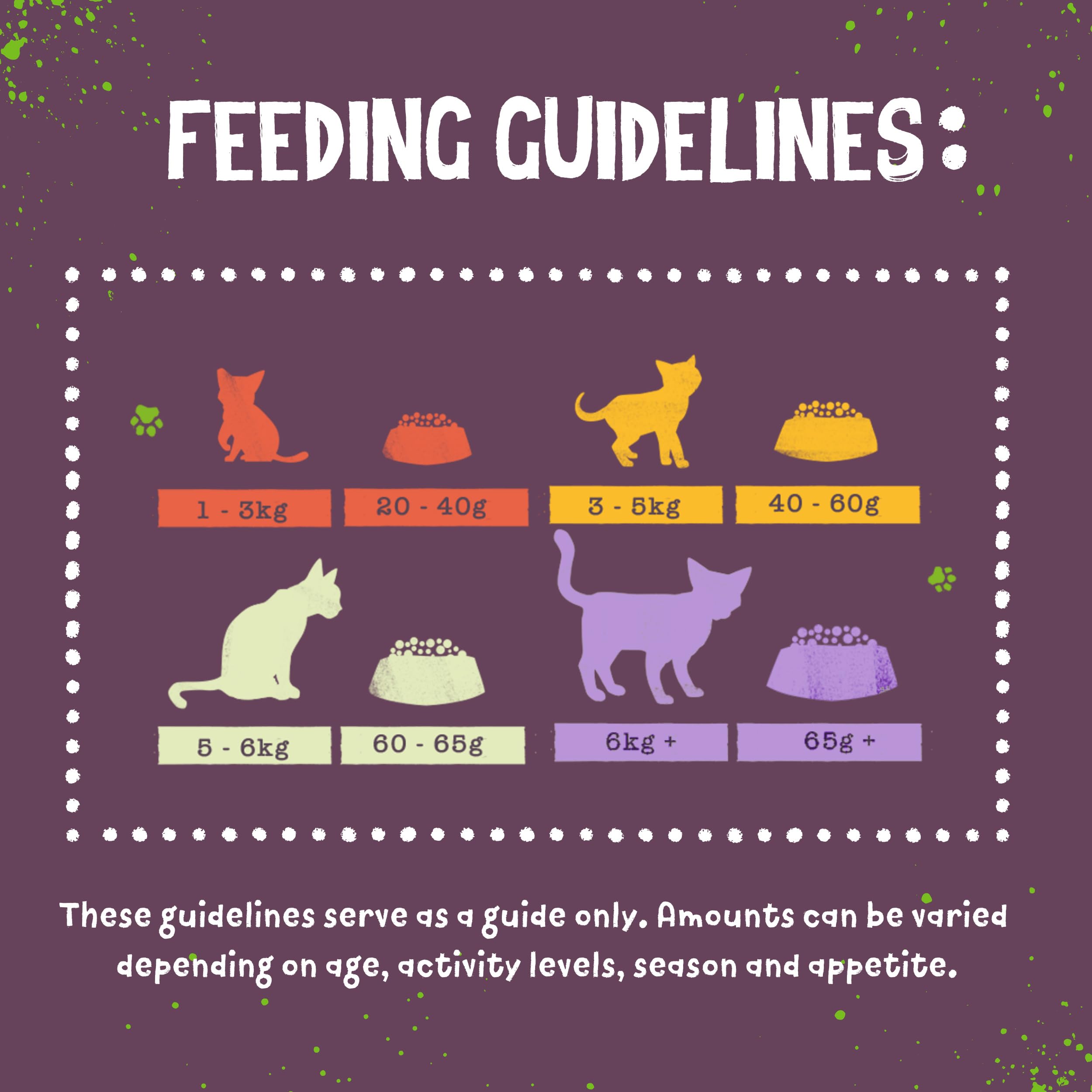 Benevo vegan cat food 2kg vegan society-approved logo signals ethical, cruelty-free pet nutrition.