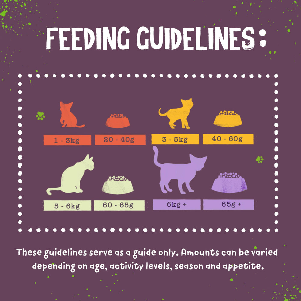 Benevo vegan cat food 2kg vegan society-approved logo signals ethical, cruelty-free pet nutrition.