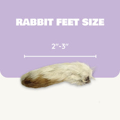 Benji & Louie air-dried rabbit feet front with fur, compact training snack.