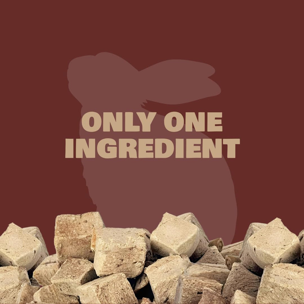 Small bite-sized rabbit treats perfect for quick training sessions.