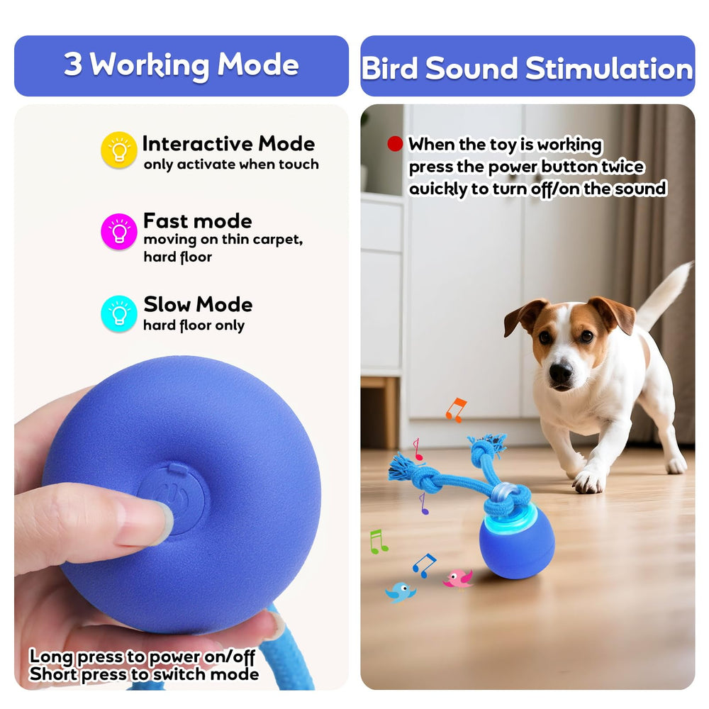 BENTOPAL ball moves in random zigzag to spark curiosity and focus