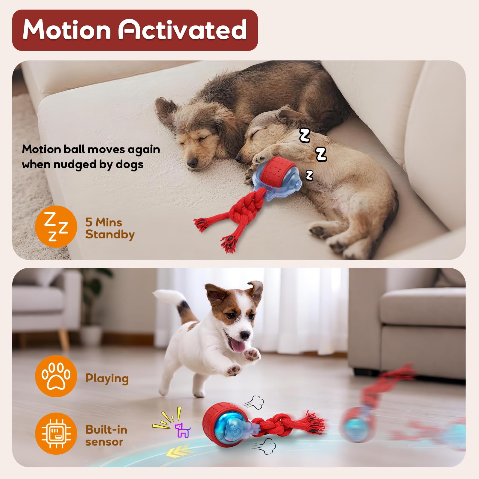 Bentopal dog ball with barking cues attracts puppies during solo play.