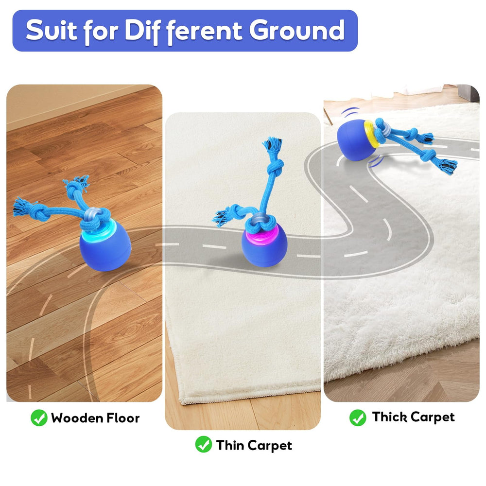 BENTOPAL toy supports training and bonding with your small dog