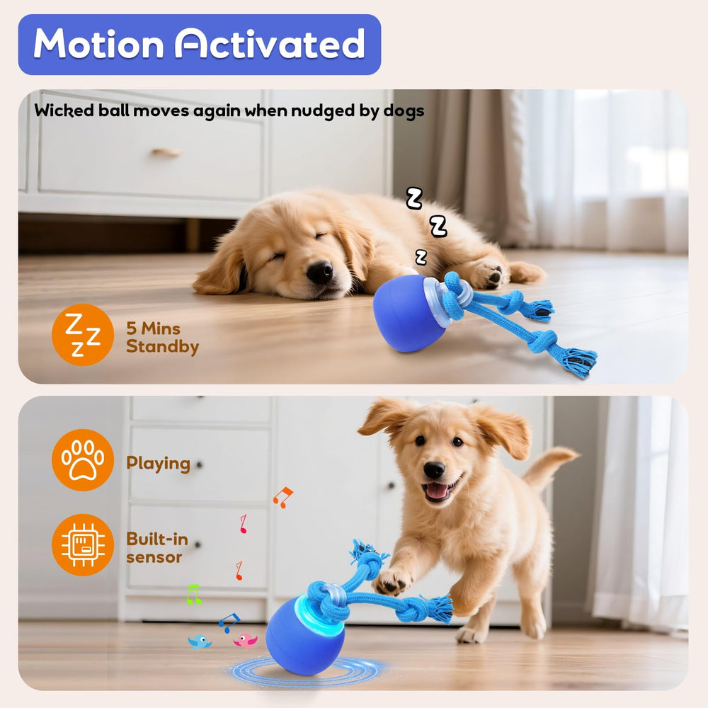 BENTOPAL dog toy with squeaky mouse sound for prey-like chase