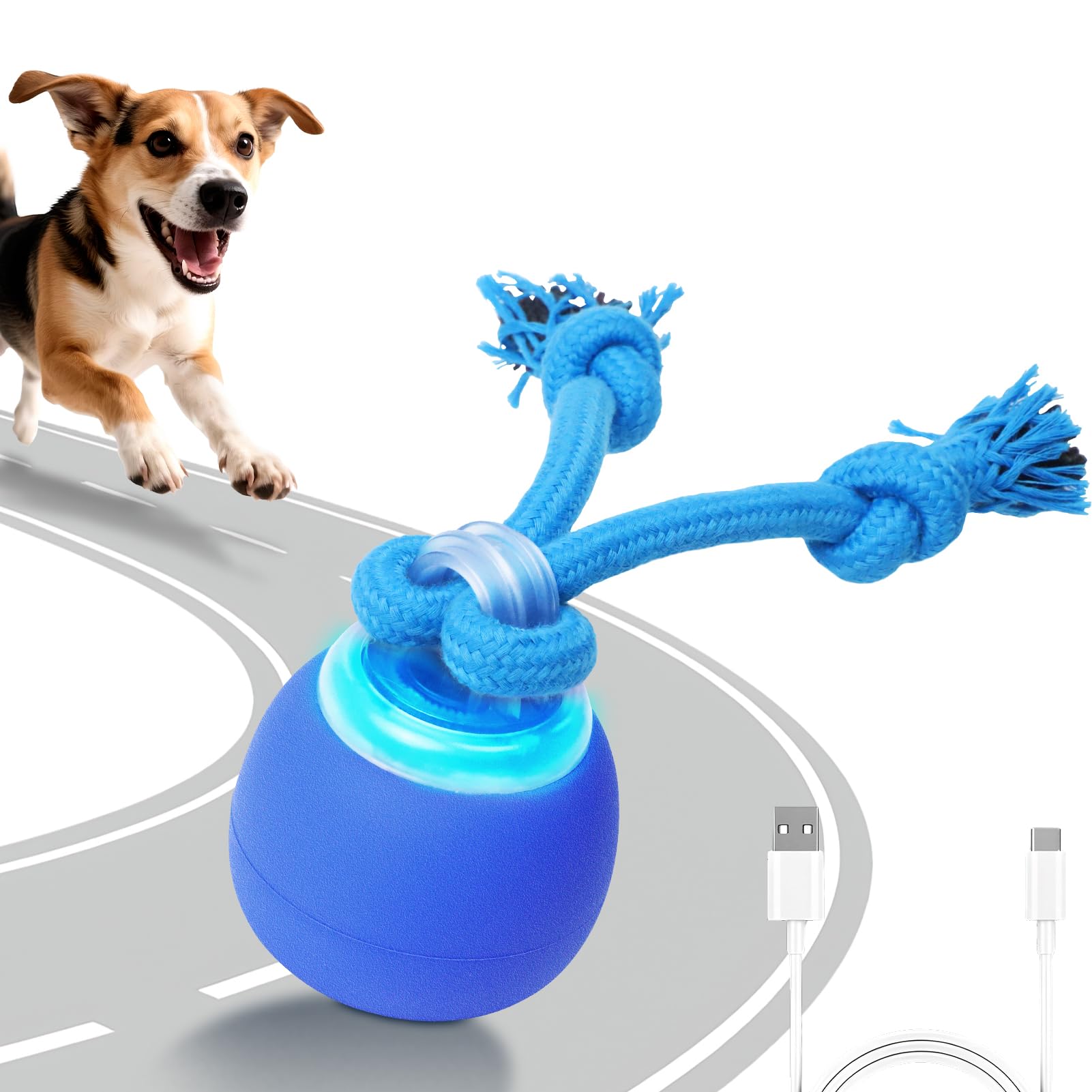BENTOPAL interactive touch-activated ball engaging dogs during playtime