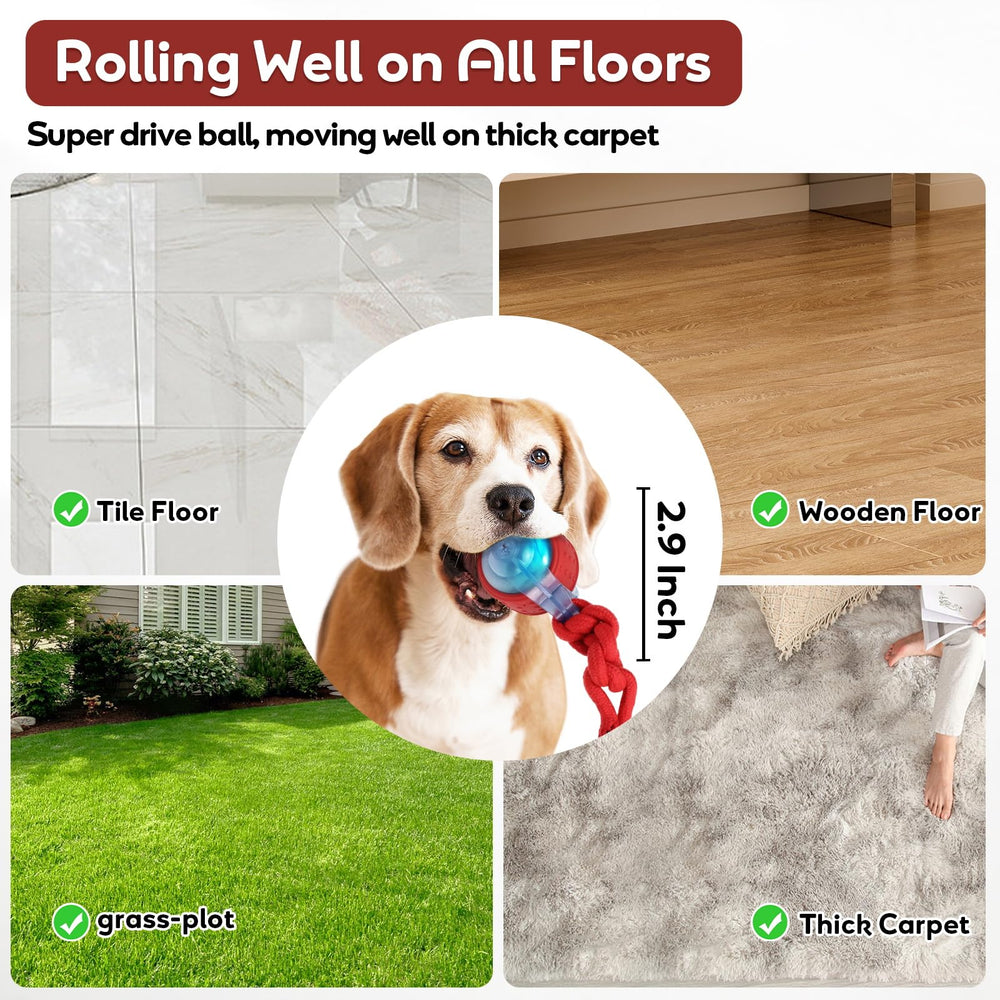 Bentopal rechargeable dog ball with USB-C charging enables cordless fun.