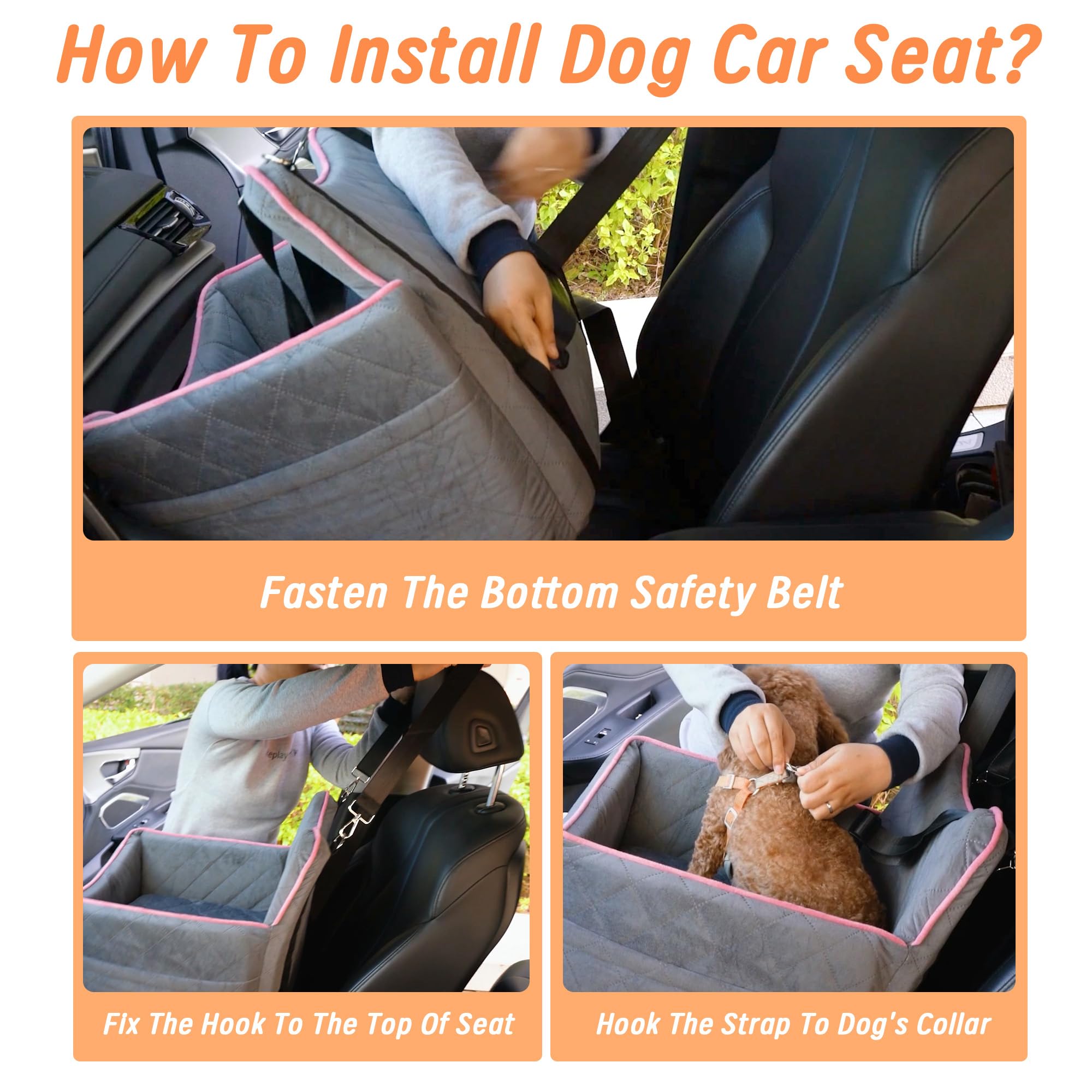 Benzoyl dog seat provides a 6-inch booster for better window viewing