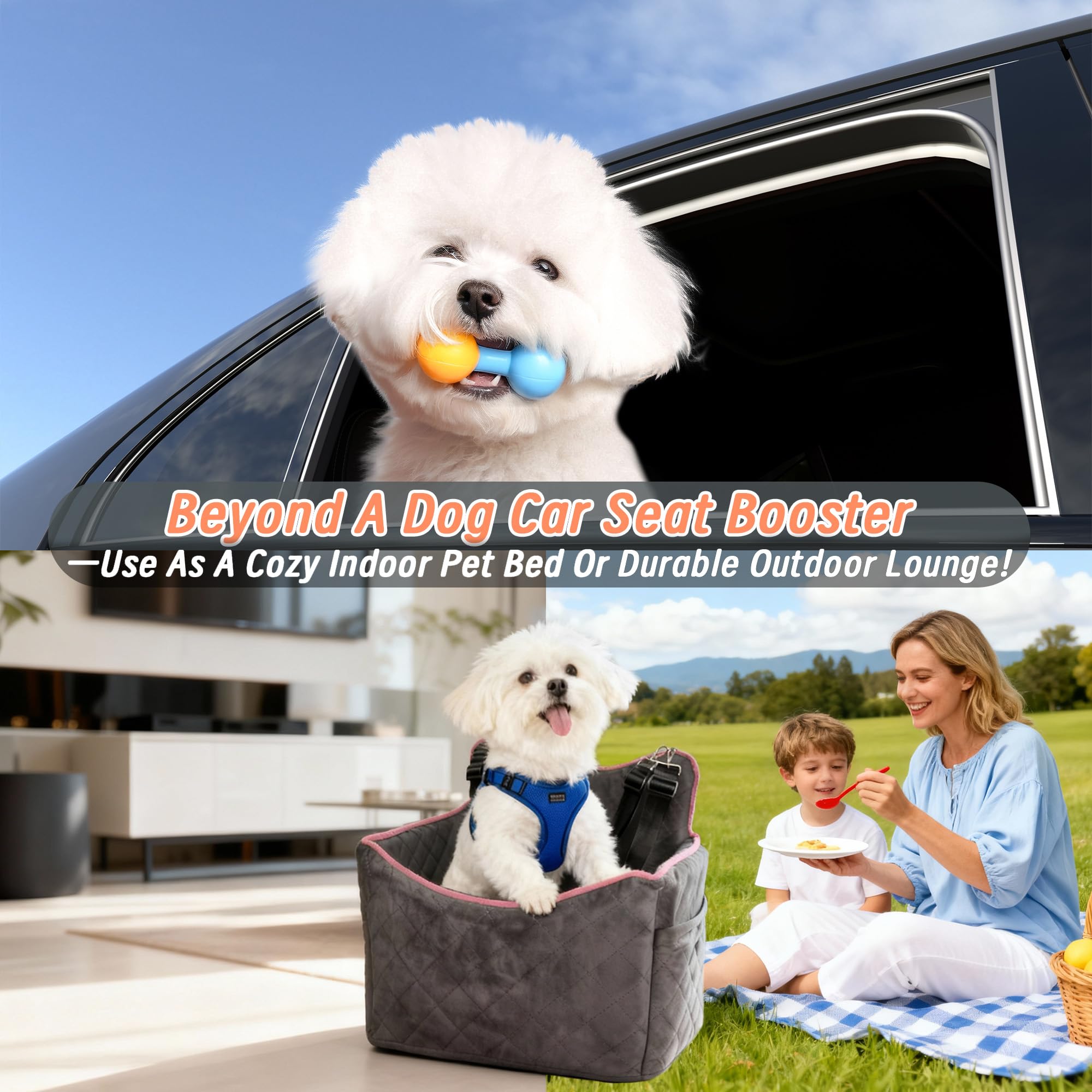 Benzoyl dog seat designed for indoor and outdoor use as a cozy lounge