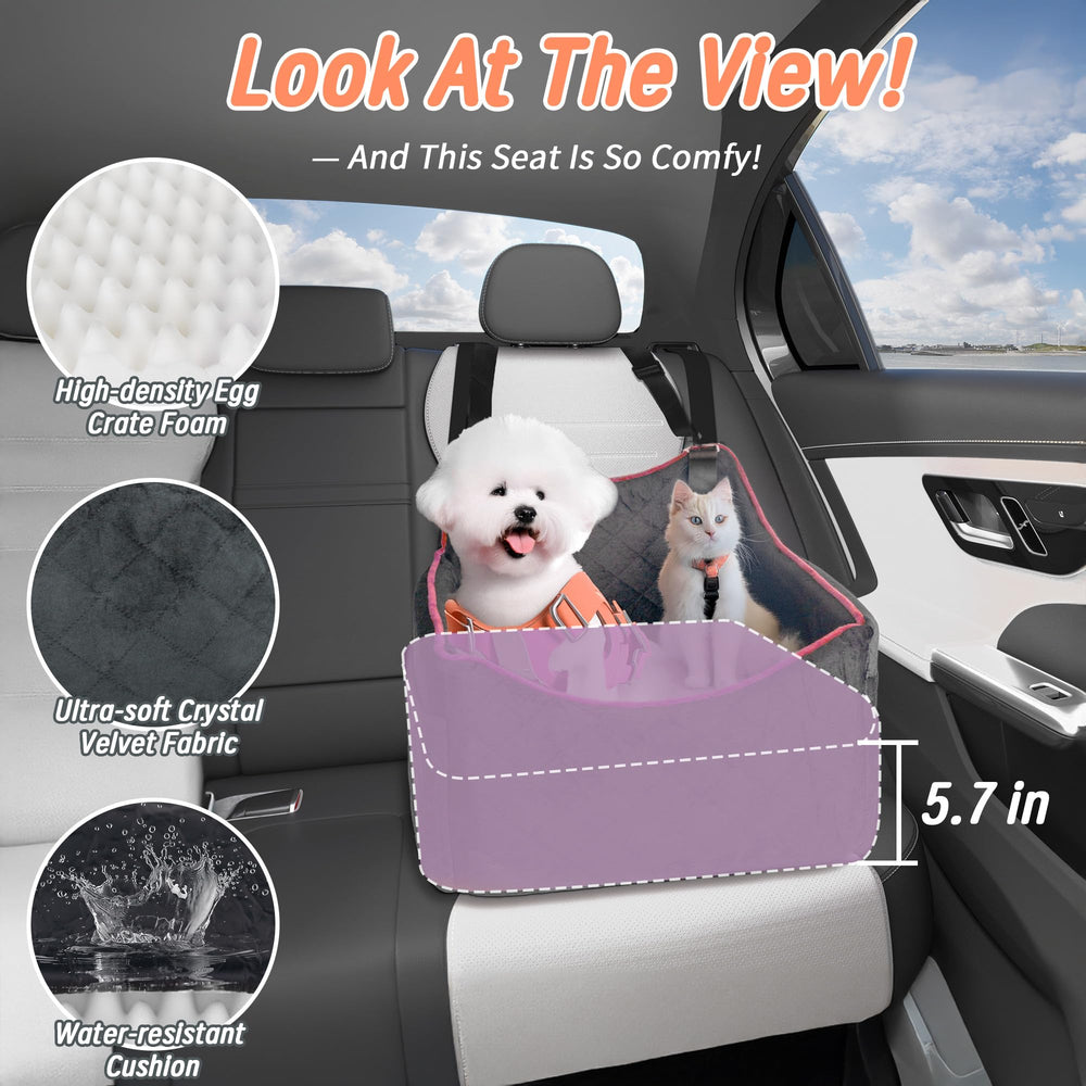 Benzoyl dog seat shows secure buckles and seatbelt anchors for safety