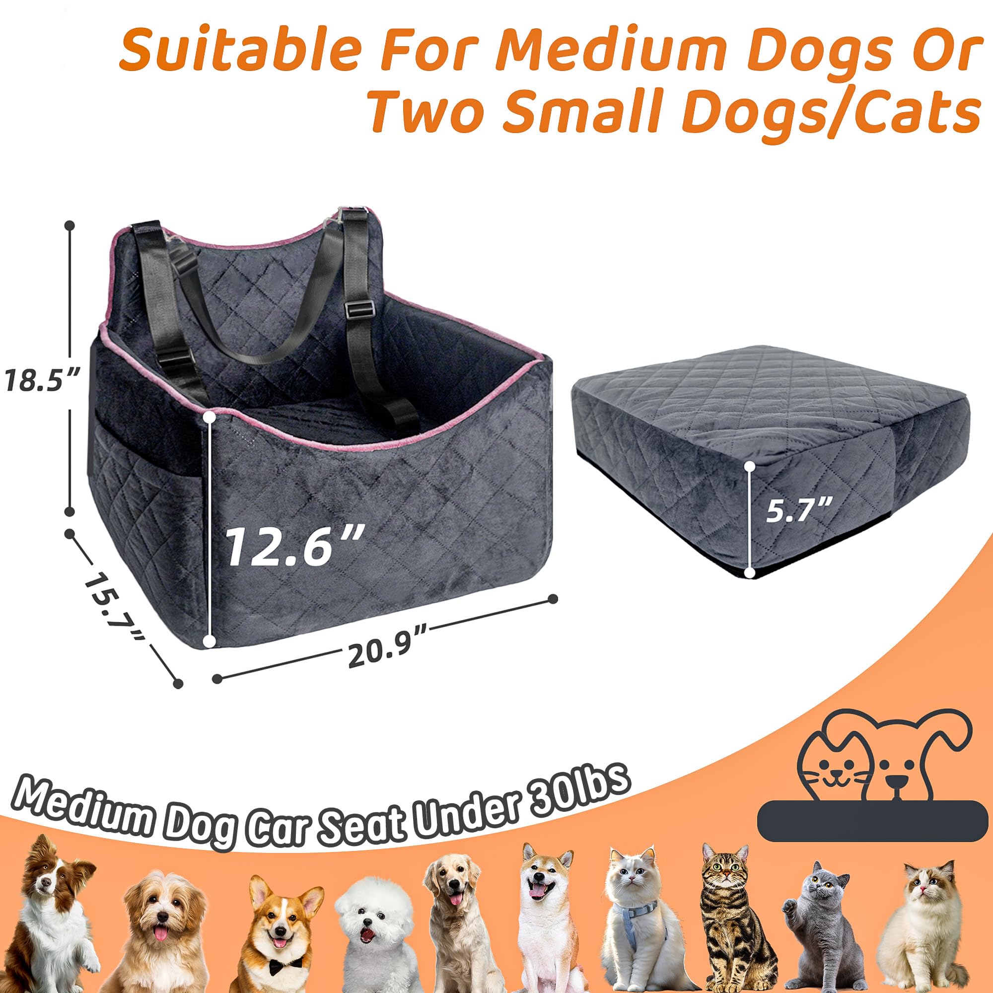 Benzoyl dog seat with side storage pockets for toys and treats