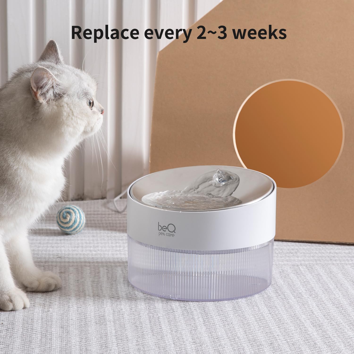 BEQ replacement filters installed in a pet fountain for hydration