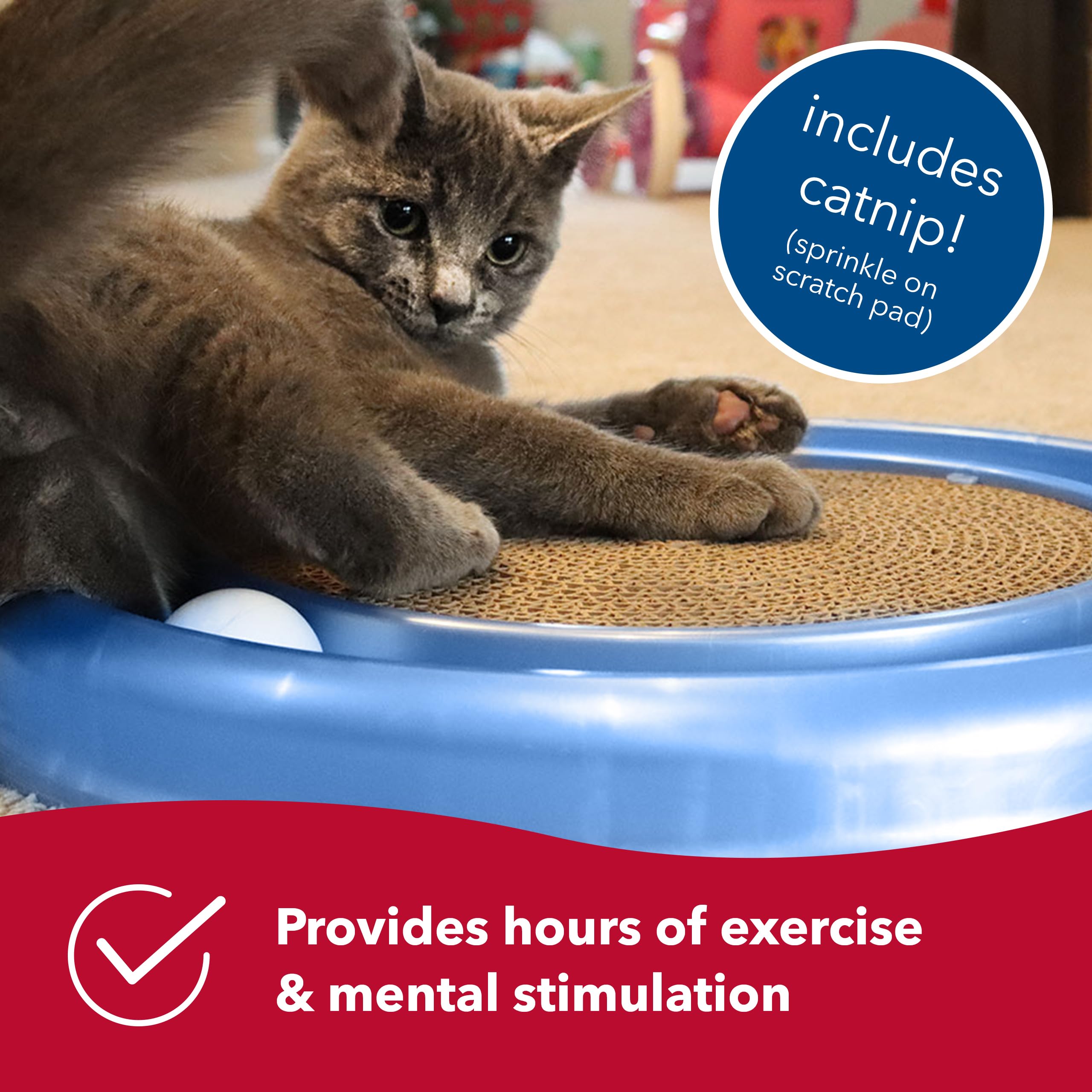 Bergan Coastal Pet scratch pad provides satisfying cardboard texture.