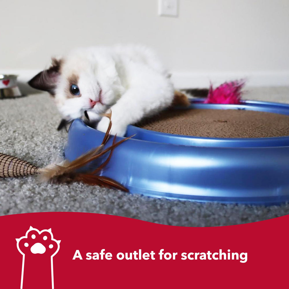 Bergan Turbo Scratcher measures 16 inches in diameter for space.