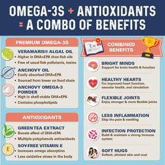 Bernie's OMG! Omegas Chews being offered to dogs as a tasty daily treat.