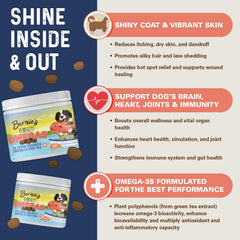 Bernie's OMG! Omegas Chews soft texture close-up for easy daily serving.