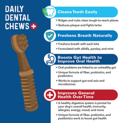 Bernie's Charming Chompers ingredients graphic with pumpkin and turkey for gut health