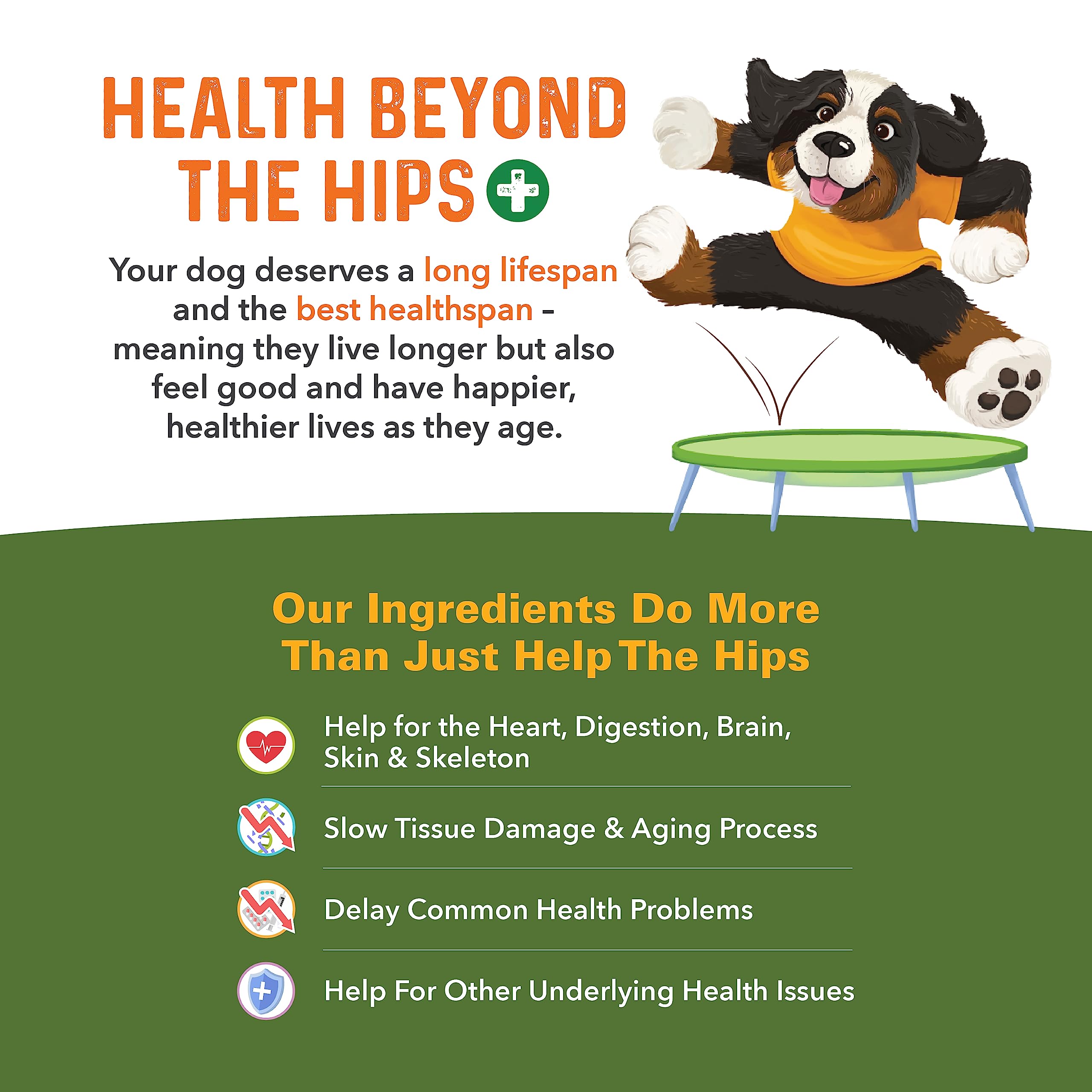 Bernie's Healthy Hips label highlights 16 active ingredients and a natural formula.